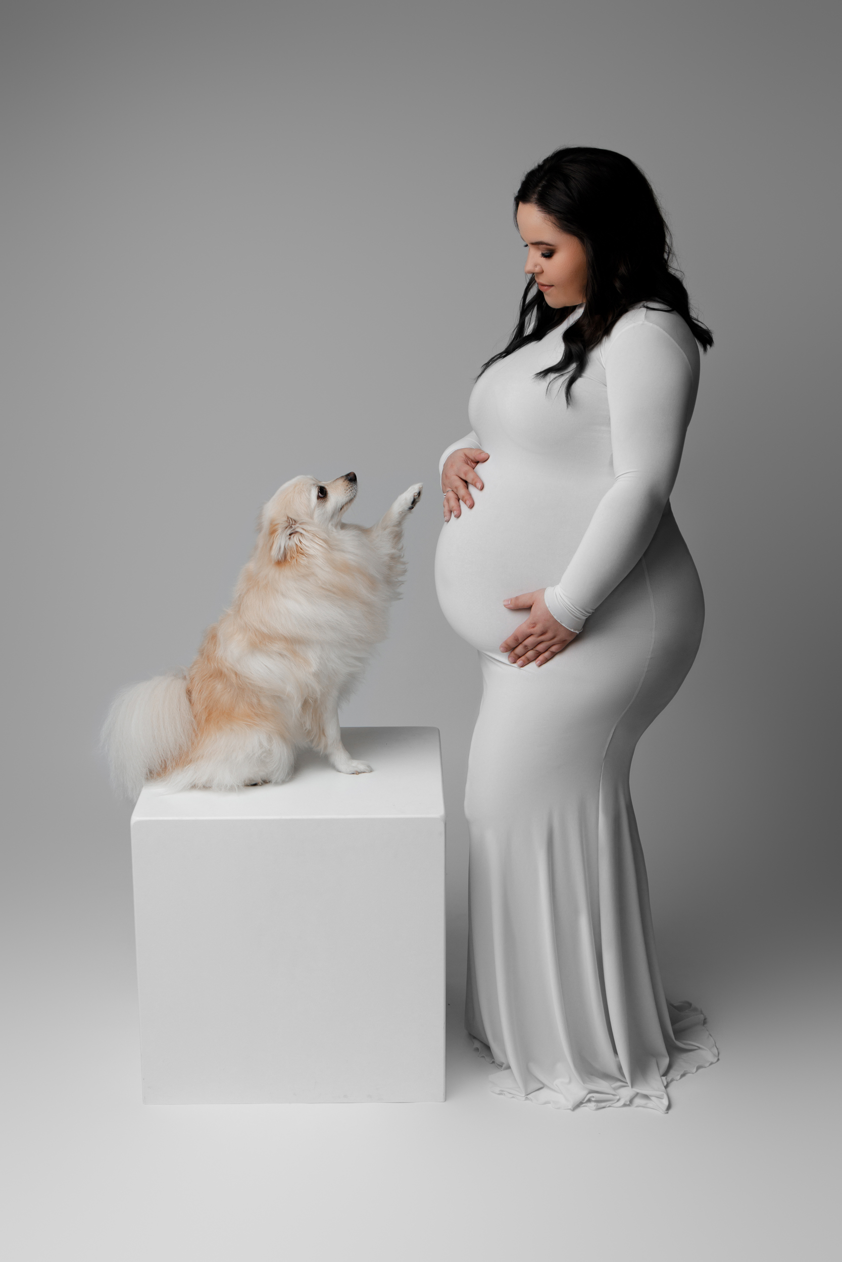 babybauch schwanger shooting hund enzkreis heilbronn ludwigsburg Babybauch shooting Stuttgart - FineArt Babybauch Bilder im Großraum Stuttgart